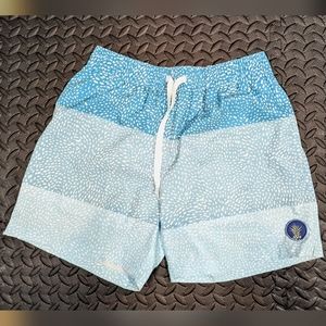 Chubbies Small 5" Swim Trunks. The Whale Sharks